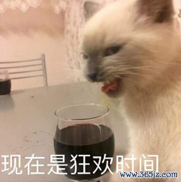 现金九游体育app平台隔断时候还很短的游戏-九游「中国」jiuyou·官方网站-登录入口