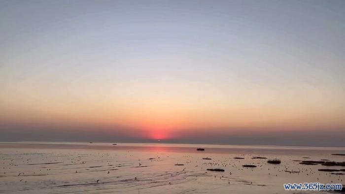 2021年12月,连云港滨海湿地未施工部分,潮流退去,水鸟在滩涂上觅食。 受访者供图
