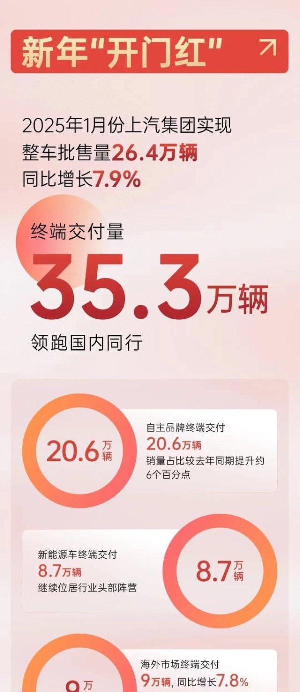 九游体育娱乐网上汽精确把捏不同国际市集需求-九游「中国」jiuyou·官方网站-登录入口