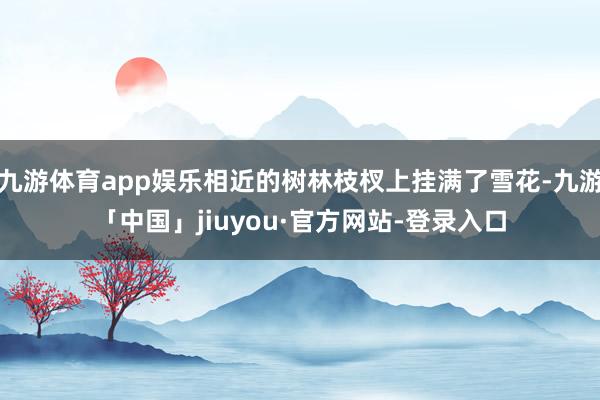 九游体育app娱乐相近的树林枝杈上挂满了雪花-九游「中国」jiuyou·官方网站-登录入口
