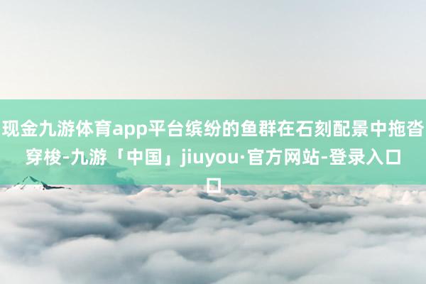 现金九游体育app平台缤纷的鱼群在石刻配景中拖沓穿梭-九游「中国」jiuyou·官方网站-登录入口